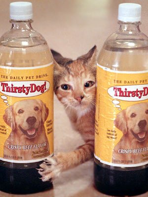 bottled-water-for-pets-1