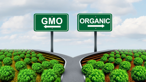 A picture of GMO vs. Organic with a fork in the road - showcasing the decisions people might purchase when thinking about their health and "intangibles".