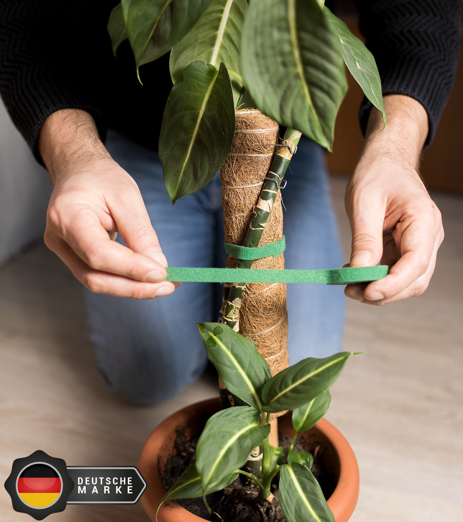 The winning image from a PickFu poll, showing plant tape being secured to a plant 