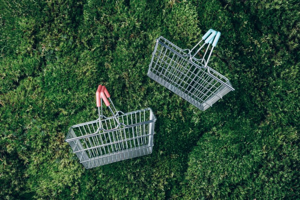 Sustainable lifestyle. Top view of supermarket shopping basket on green grass, moss background